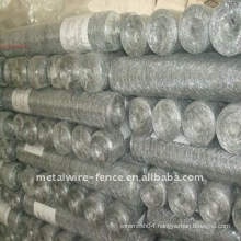 hexagonal wire mesh